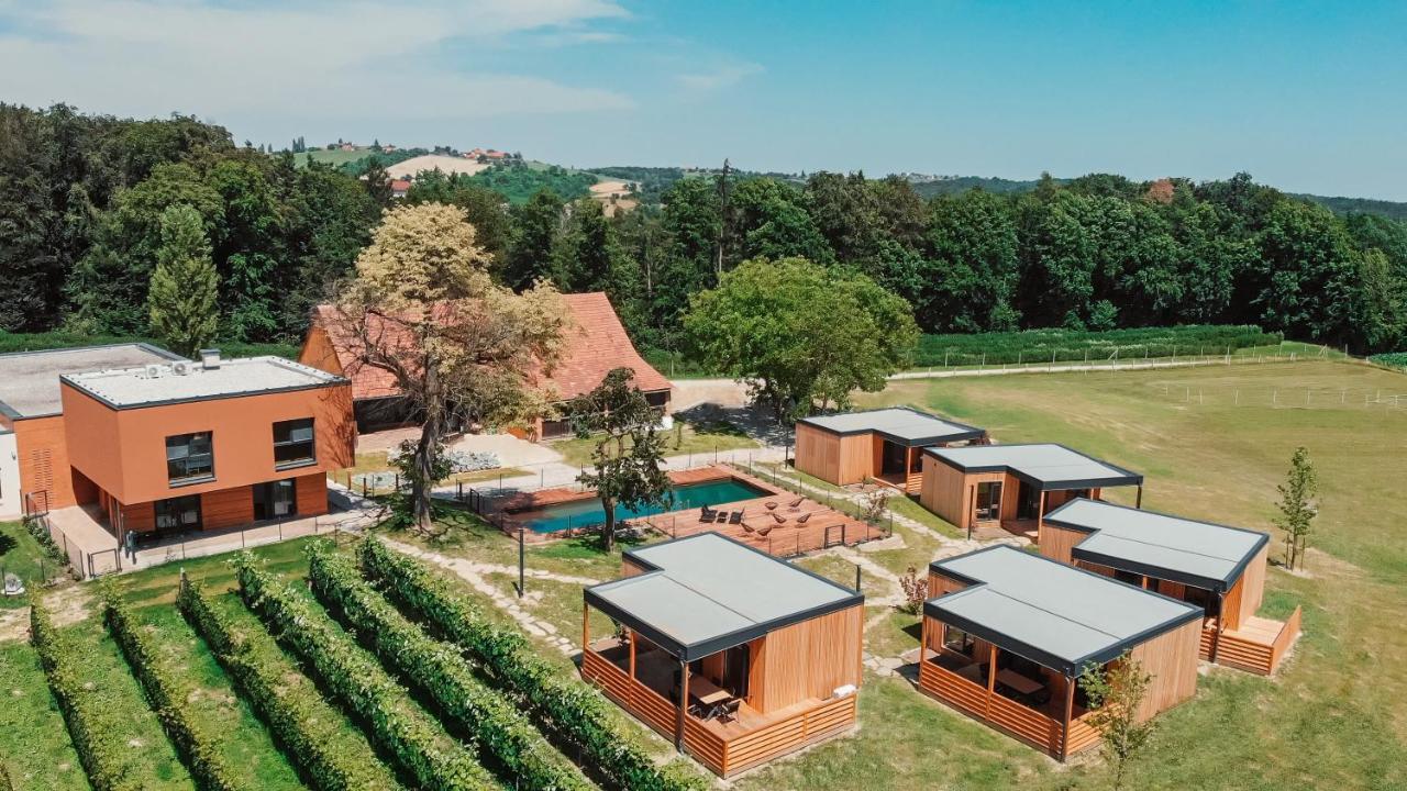 Wine Paradise Glavinic Miklavz pri Ormozu Extérieur photo